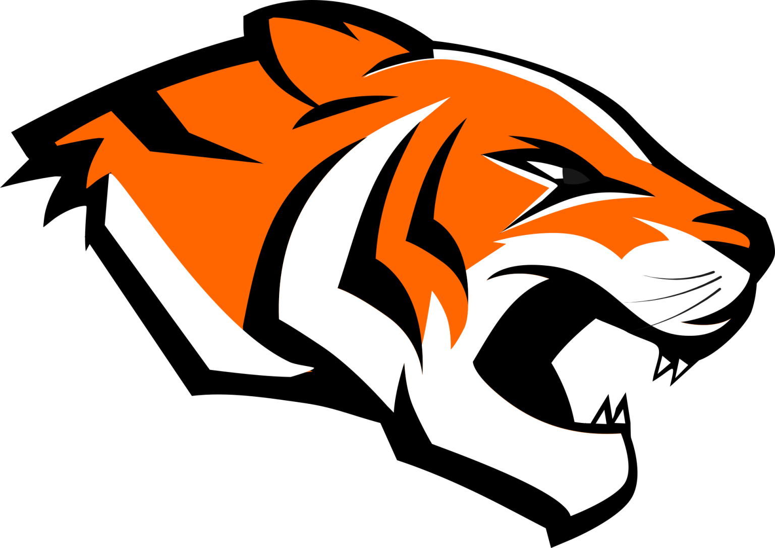 TIGERS WINNING STREAK COMES TO AN END