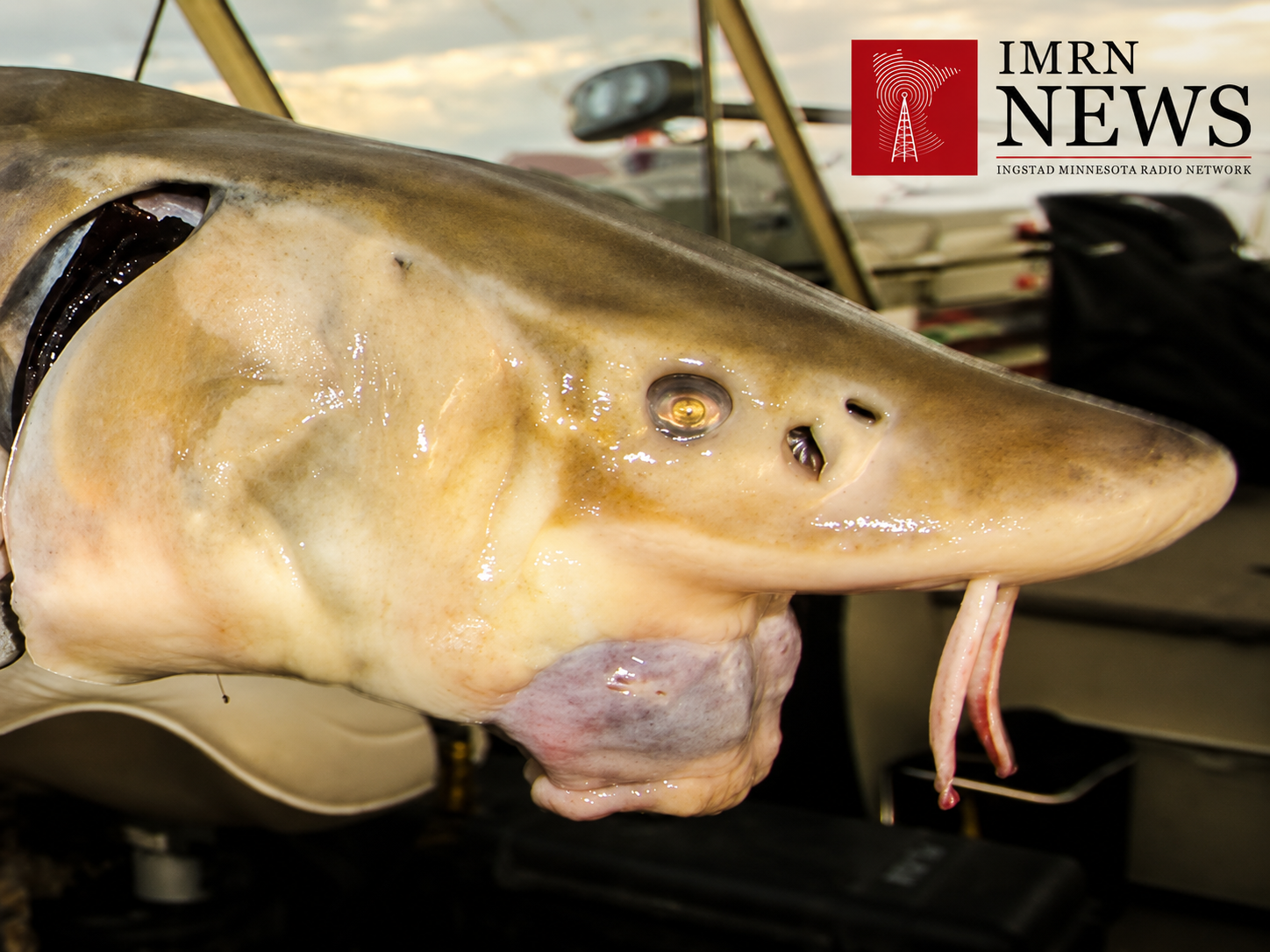 SEVERAL FISHING RECORDS BROKE THIS SPRING