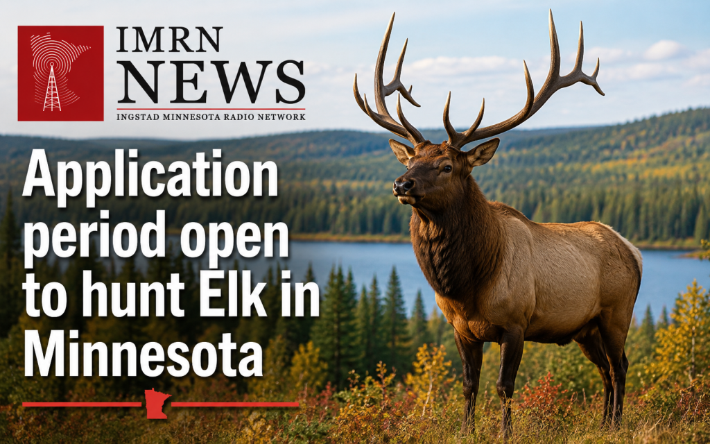 Application period open to hunt Elk in Minnesota